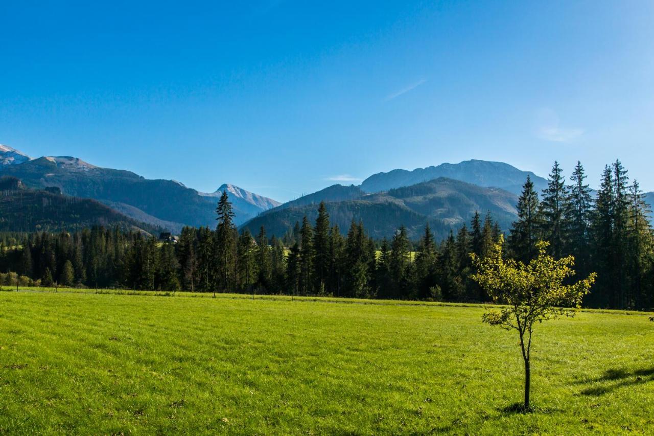 Udanypobyt Apartamenty Przy Lesie 2 Kościelisko Buitenkant foto